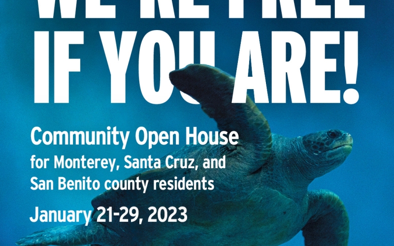 Monterey Bay Aquarium Free Admission for Locals Lighthouse District